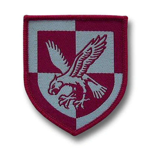 16 AIR ASSAULT: Tapfere Abzeichen für wahre Helden!